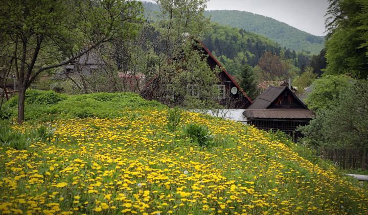 10. fotografia fotogalérie Dobrovoľnícka brigáda 04.05.2019