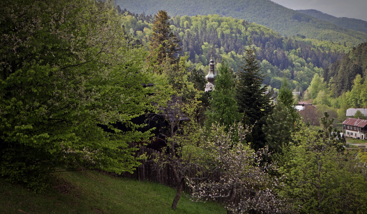 14. fotografia fotogalérie Dobrovoľnícka brigáda 04.05.2019