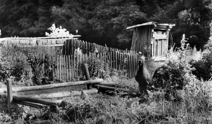 8. fotografia fotogalérie Opátka v 1972